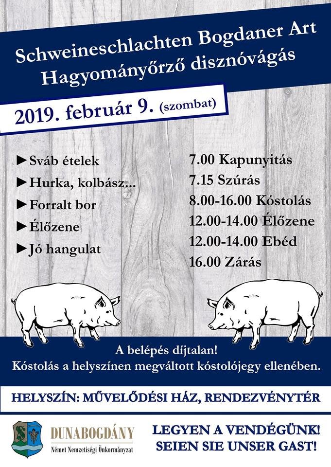 120209-db-disznovagas.jpg