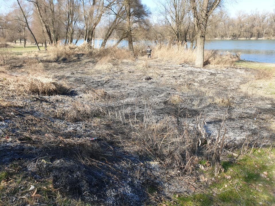 156245825-2520556448246015-6525912332598472668-n.jpg 156245825-2520556448246015-6525912332598472668-n.jpg