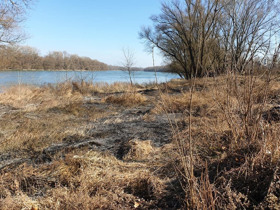 156327132-2520556478246012-1177941533874912048-n.jpg 156327132-2520556478246012-1177941533874912048-n.jpg