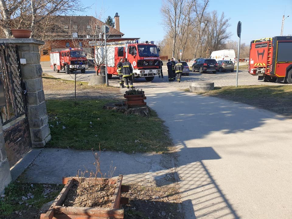 156674018-2520556508246009-4654542672607355576-n.jpg 156674018-2520556508246009-4654542672607355576-n.jpg